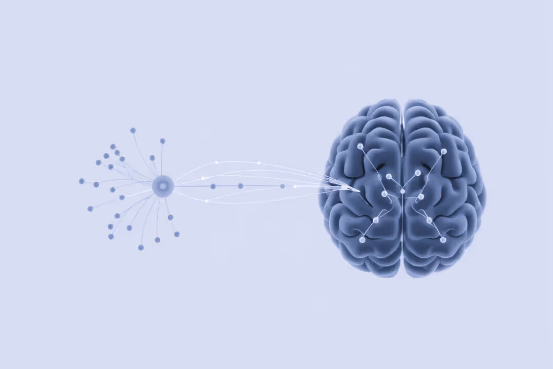 A cool-toned editorial science photograph.