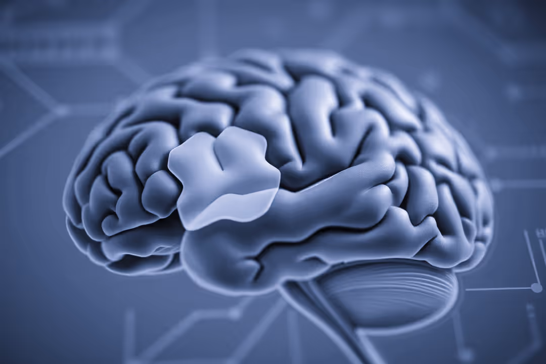 A cool-toned editorial science photograph.
